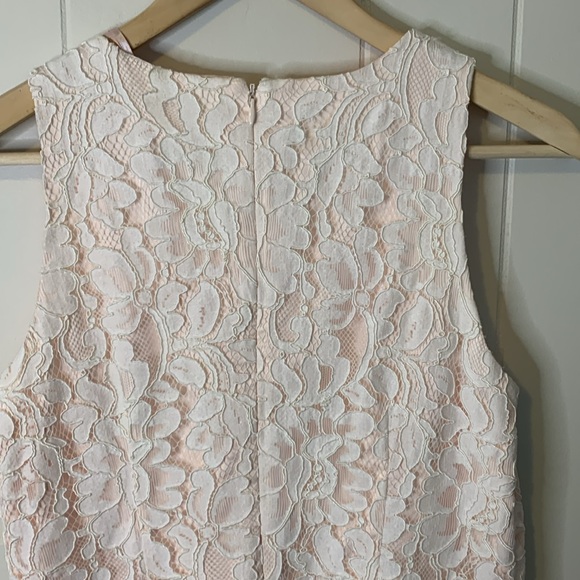NWT Eliza J Ivory Lace Dress Size 10 Petite - Picture 6 of 8